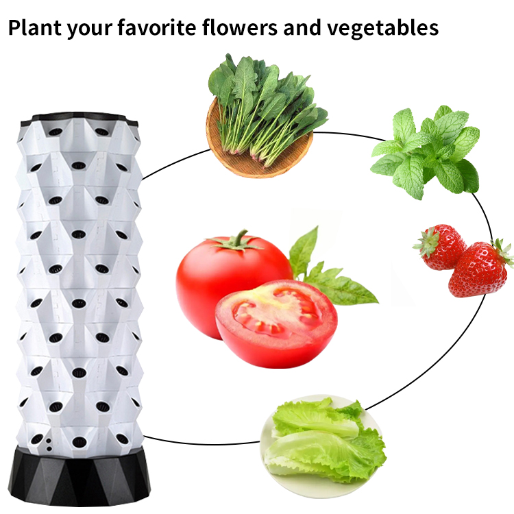ชุดปลูกพืชไฮโดรโปนิกส์อัจฉริยะ - Smart Garden Kit บทวิจารณ์และราคา