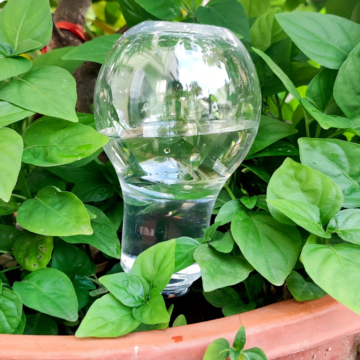 เครื่องมือรดน้ำอัตโนมัติสำหรับ - Smart Garden Kit บทวิจารณ์และราคา