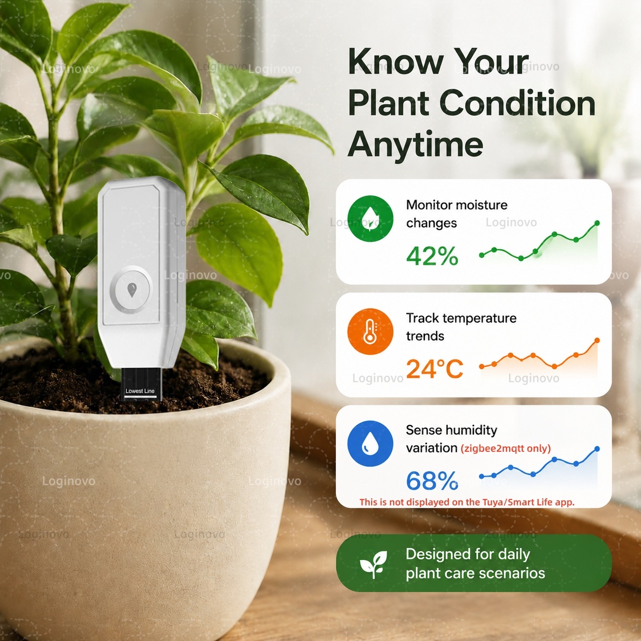 เซ็นเซอร์ดิน Zigbee อุณหภูมิ ค - Smart Garden Home Assistant บทวิจารณ์และราคา