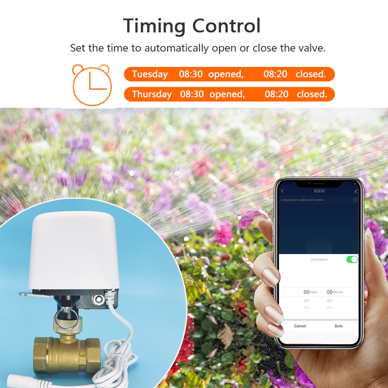วาล์วน้ำอัจฉริยะ Tuya WiFi Zig - Smart Garden Home Assistant บทวิจารณ์และราคา