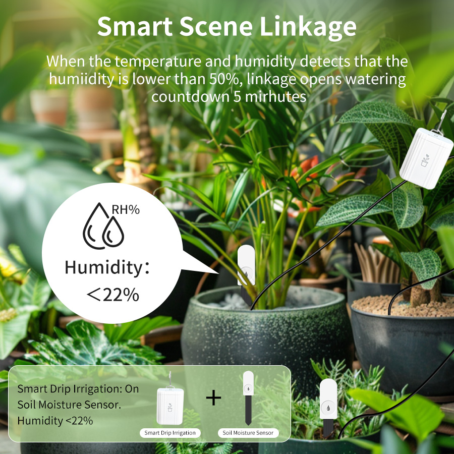 เครื่องวัดความชื้นและอุณหภูมิด - Smart Garden Home Assistant บทวิจารณ์และราคา