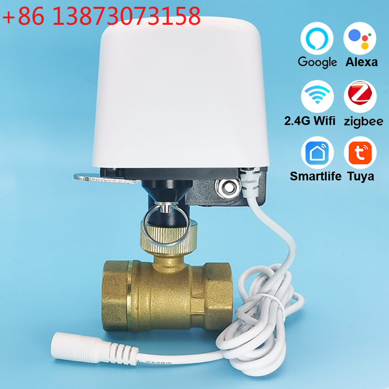 วาล์วน้ำอัตโนมัติ Tuya Zigbee  - Smart Garden Home Assistant บทวิจารณ์และราคา