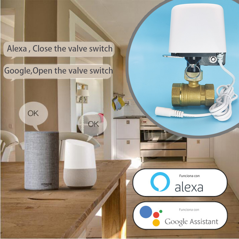 วาล์วน้ำอัตโนมัติ Tuya Zigbee  - Smart Garden Home Assistant บทวิจารณ์และราคา