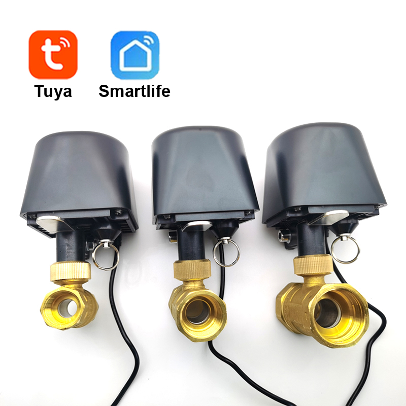 Tuya WiFi หรือ Zigbee วาล์วน้ํ - Smart Garden Water บทวิจารณ์และราคา
